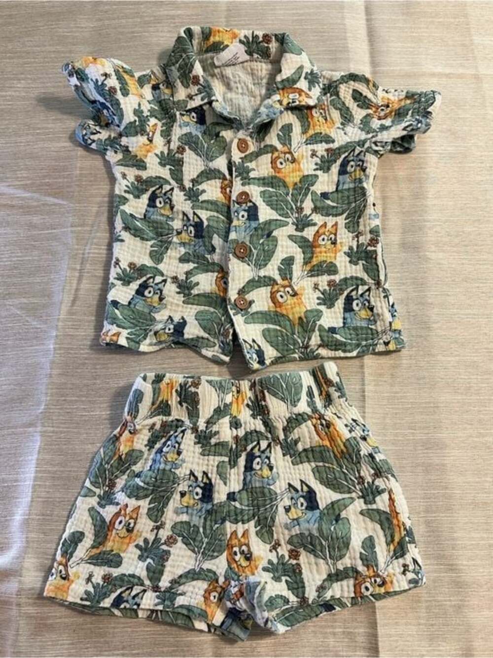Kids Bluey Set - Short Sleeve & Shorts 3T